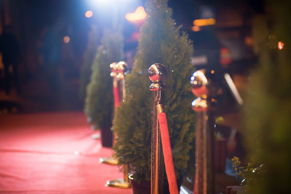 Red carpet
