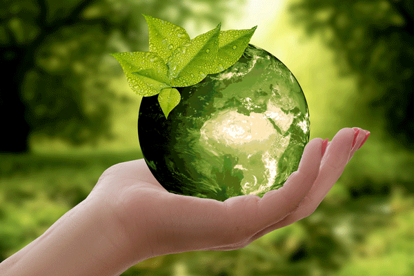 sustainability