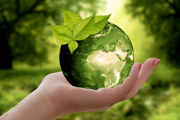 environment