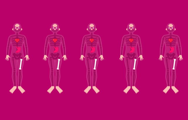 anatomy