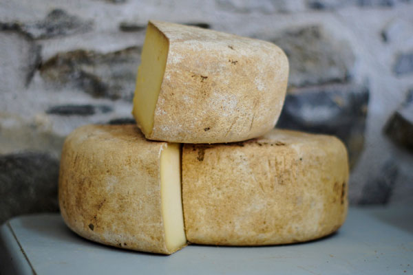 cheese 002
