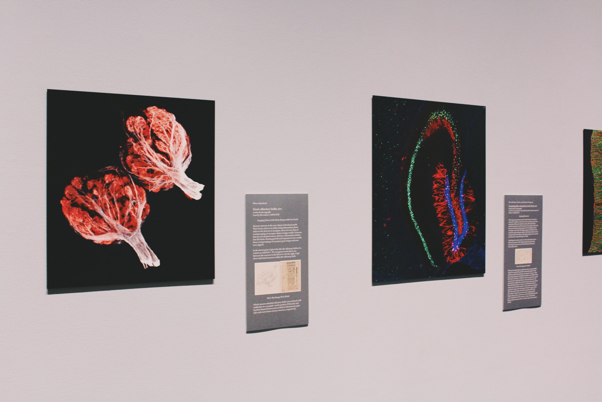 science gallery