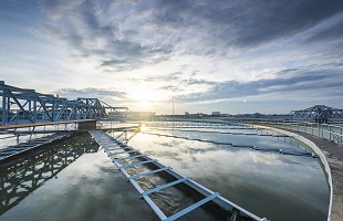 British Water