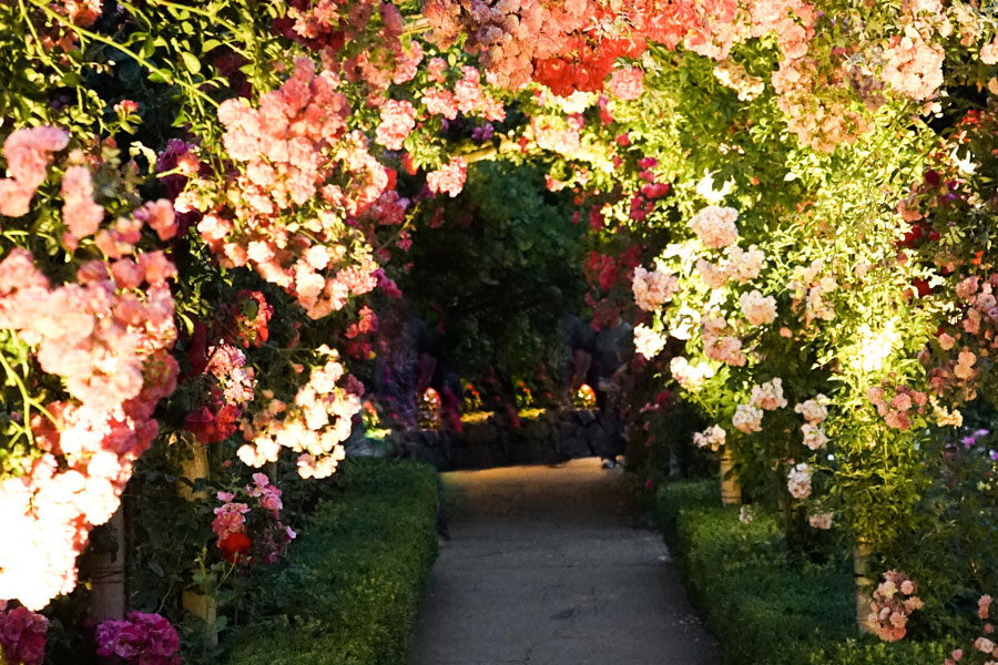 secret garden