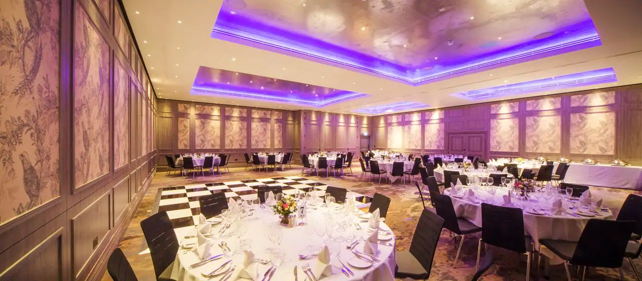 hilton dt