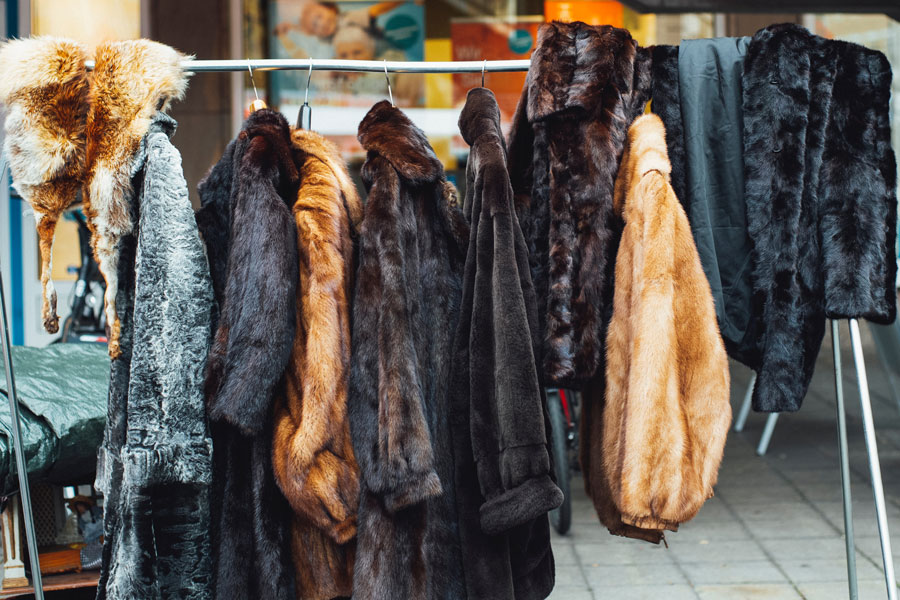 coat