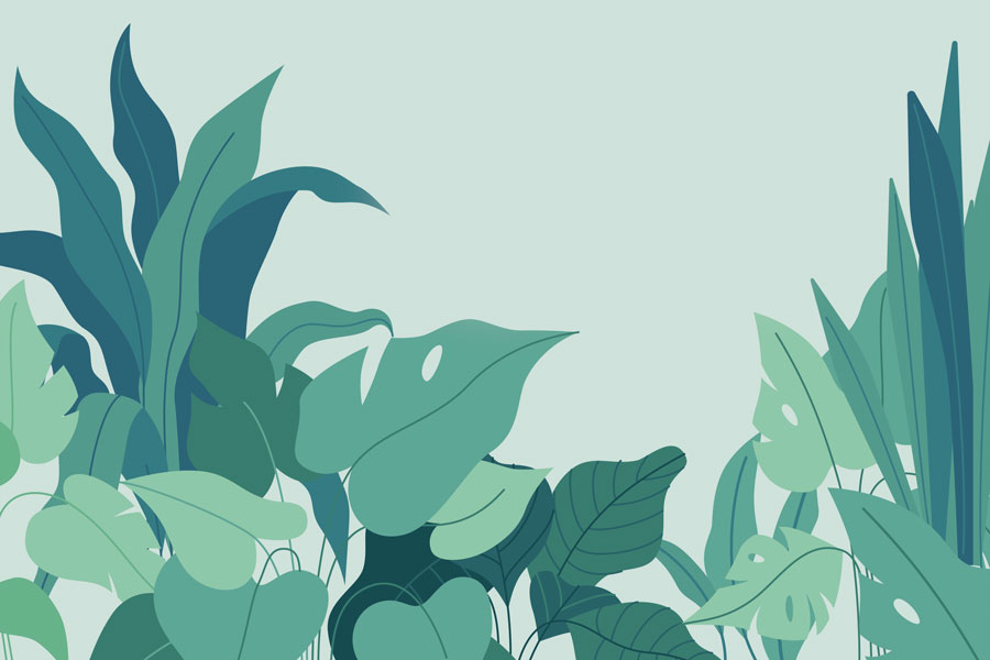 sustainability