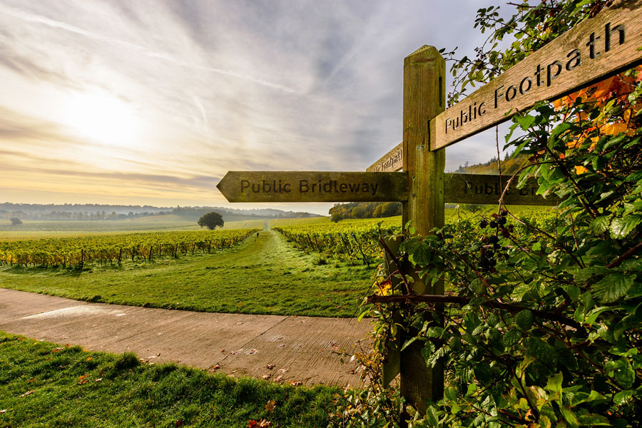 Denbies Wine Estate, Guildford
