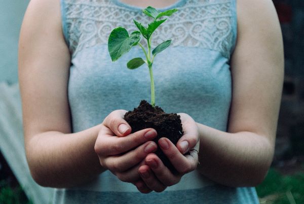 Earth Day: how are we tackling sustainability?