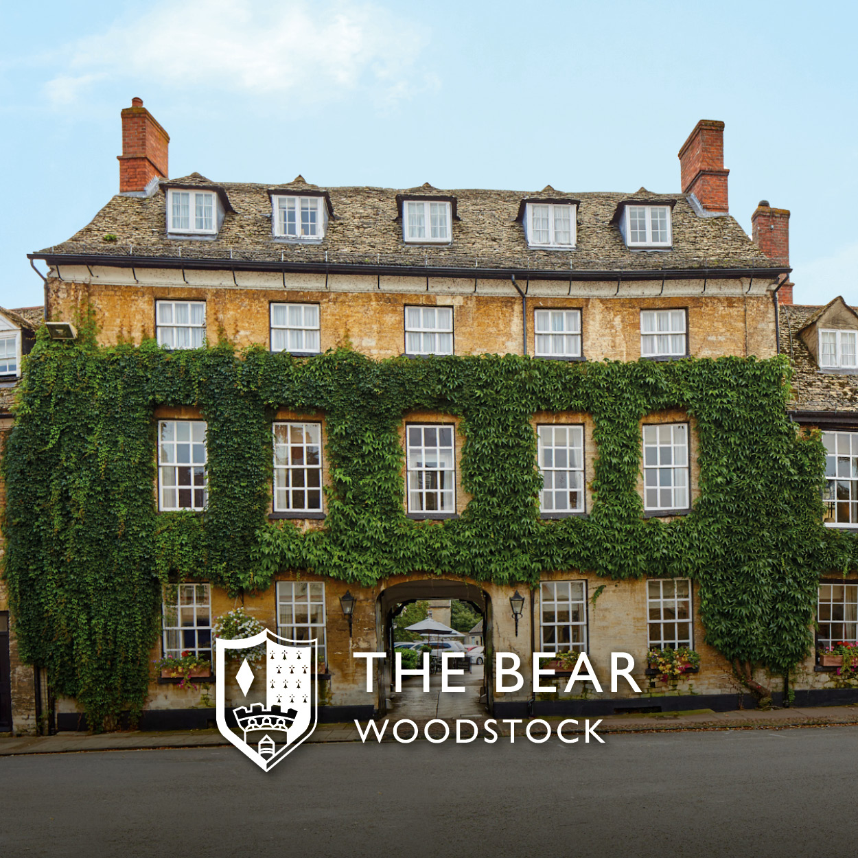 the-bear-woodstock