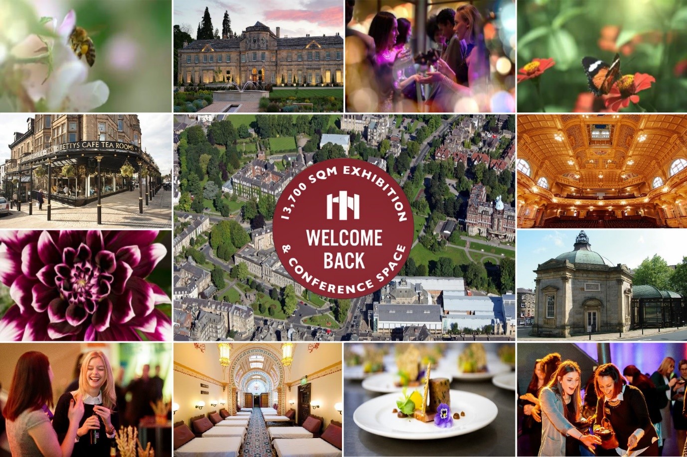 bring your live event to harrogate