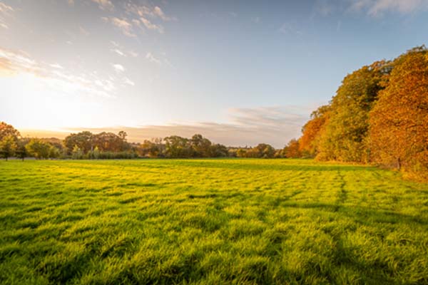 Make Venues introduces sustainability champions