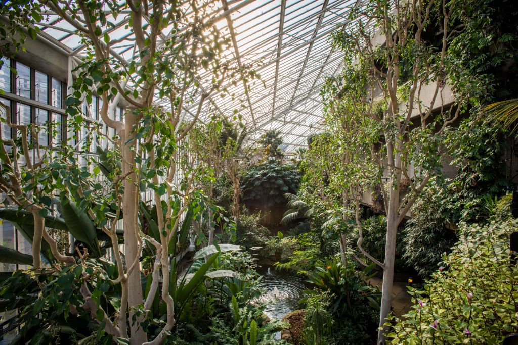 Conservatory, Barbican Centre, CREDIT Max Colson