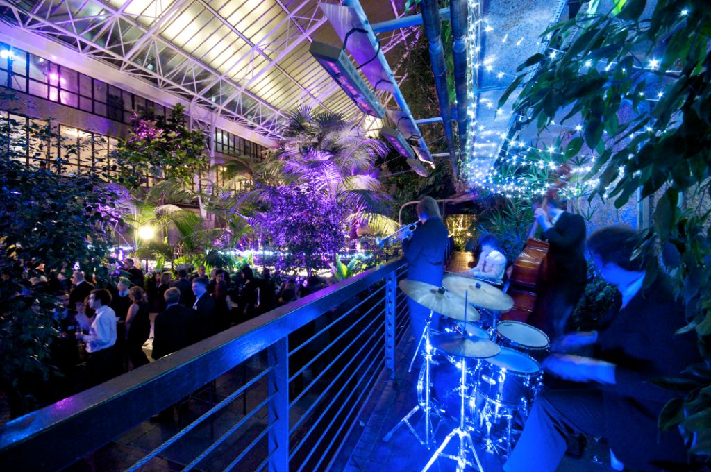 Conservatory - Night1 RSB 