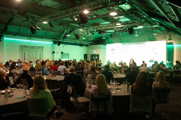 AEV welcomes 18 new chairs and vice-chairs to working groups
