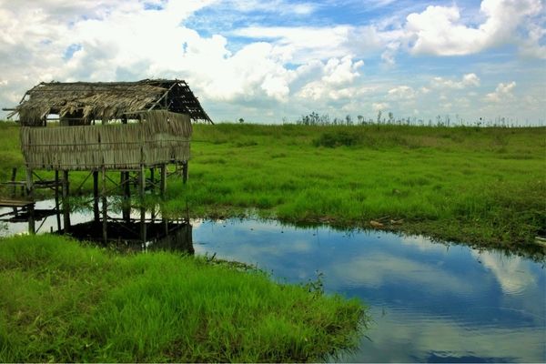 Owl Live partners with Earthly to become climate positive