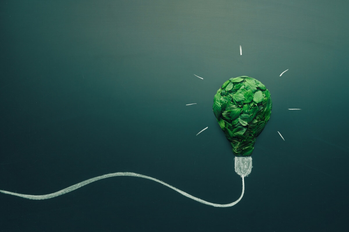 Green sustainability bulb