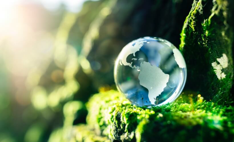 Sustainability