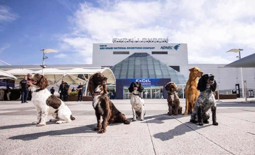 excel London