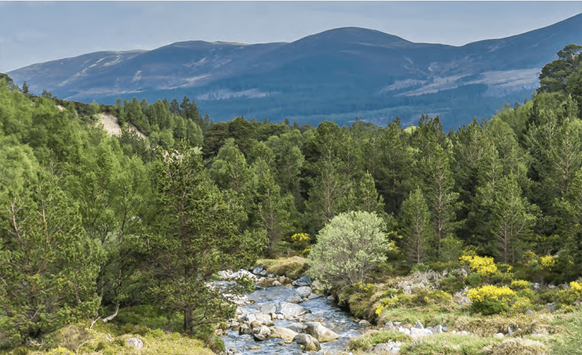 VisitScotland