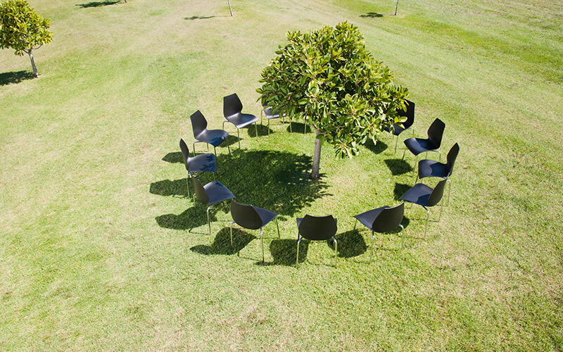 sustainability,Circle of office chairs around tree in field