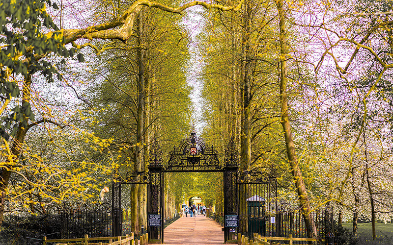 Cambridge