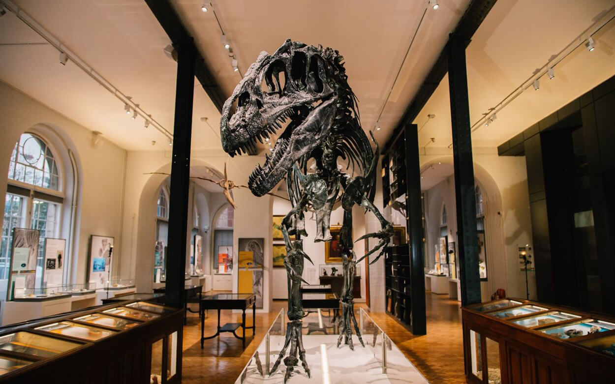 Roary at Lapworth Museum of Geology, University of Birmingham