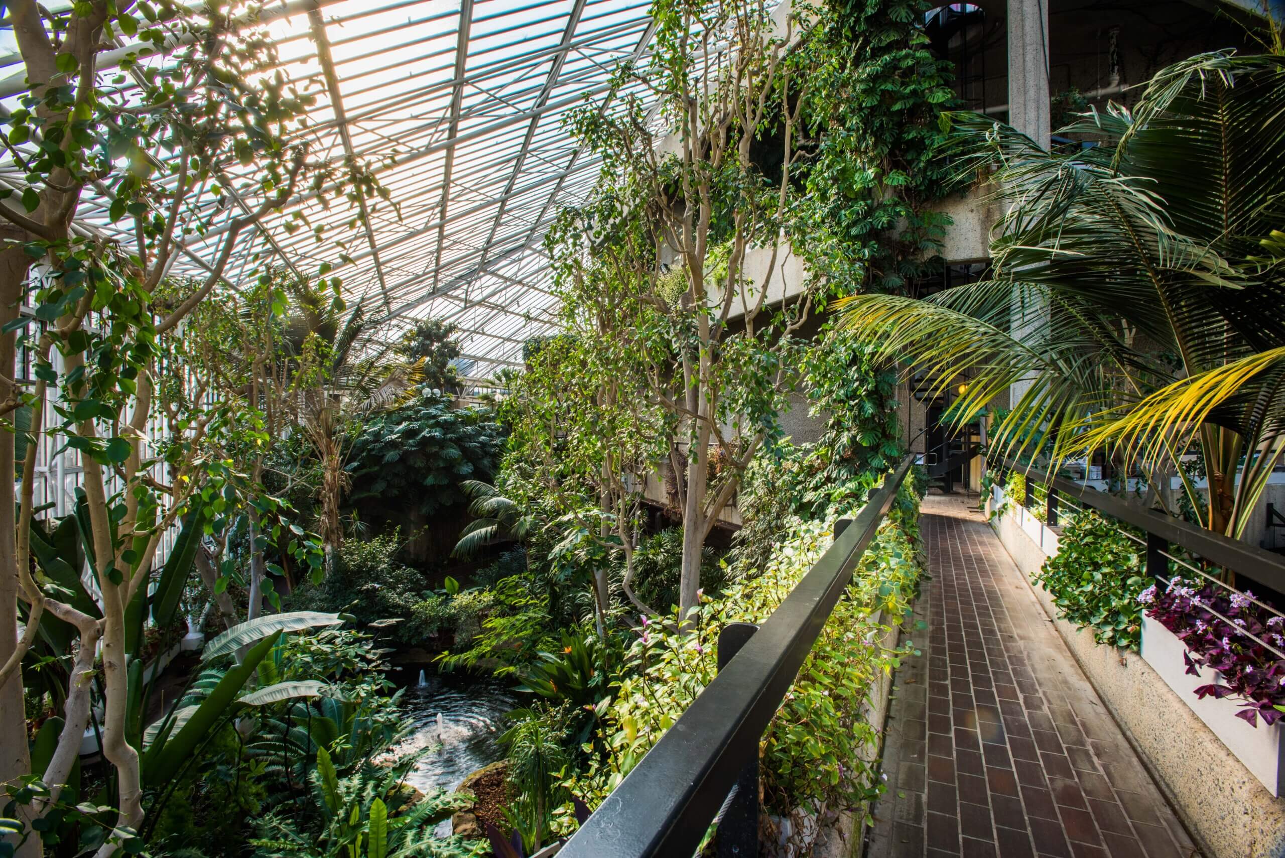 Conservatory, Barbican Centre