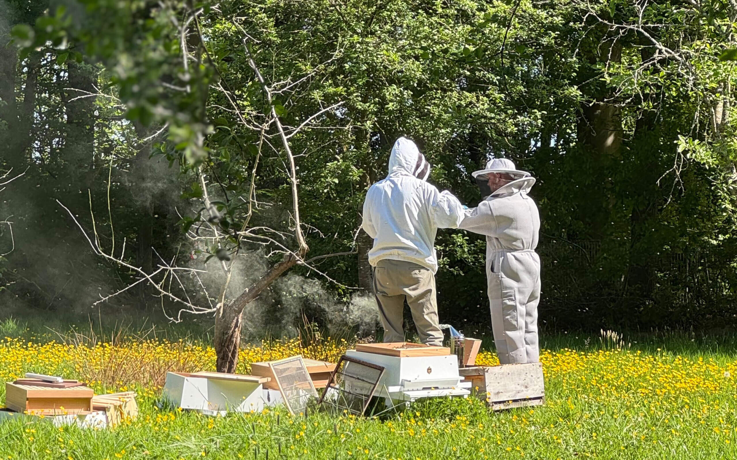Haydock Park - Bee keepers
