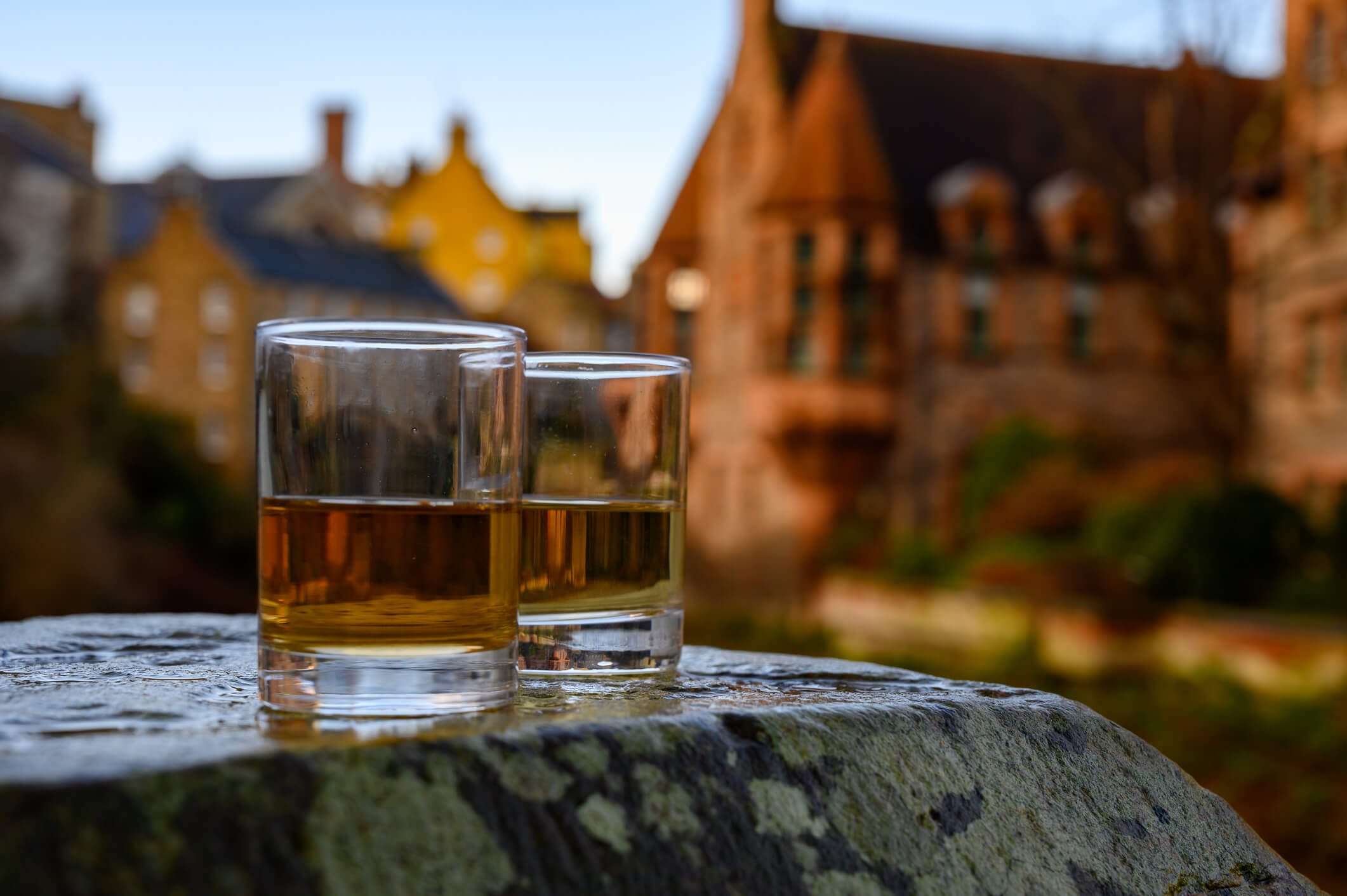 Scotch single malts or blended whisky spirits in glasses with old