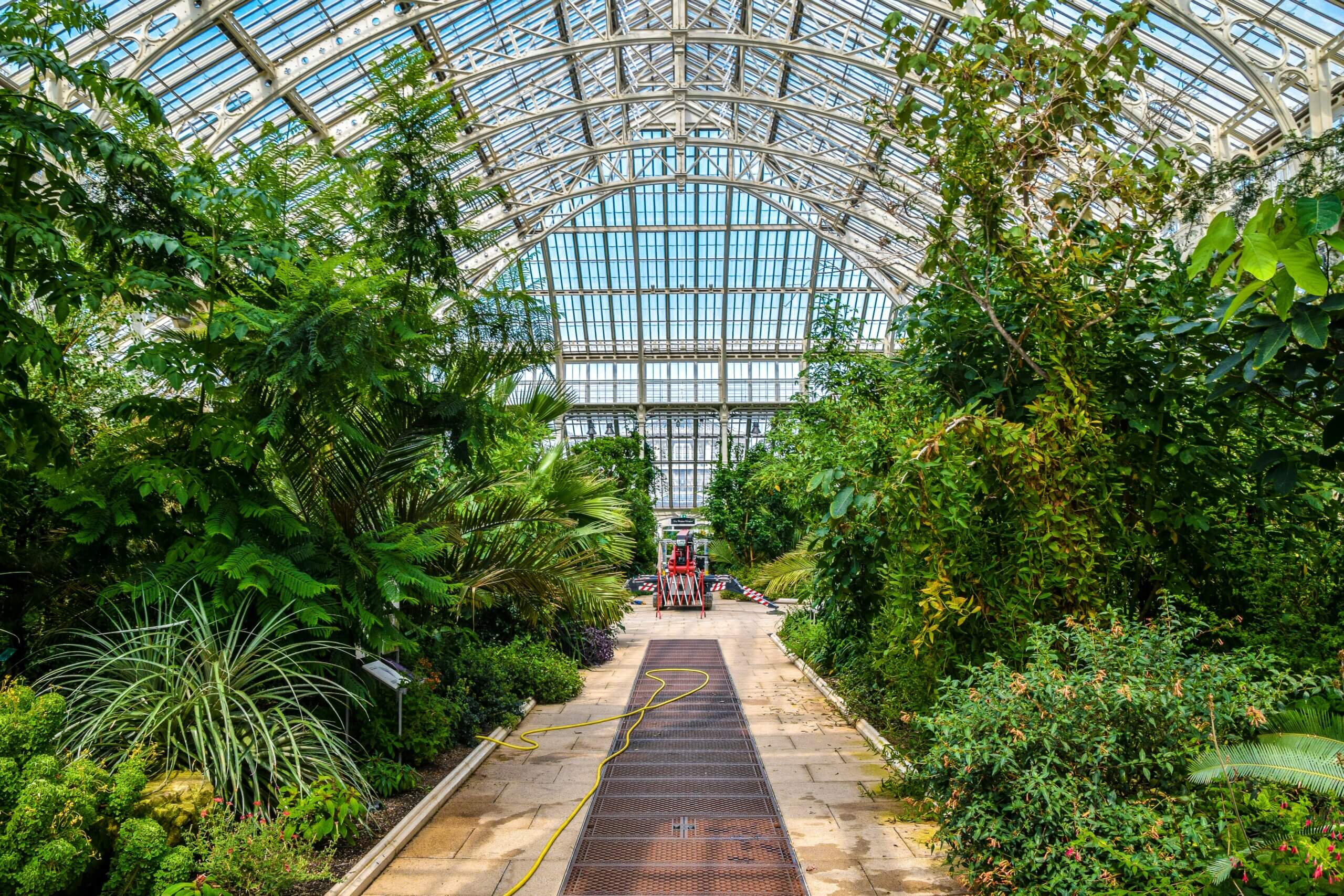 kew gardens