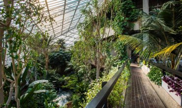 Conservatory, Barbican Centre