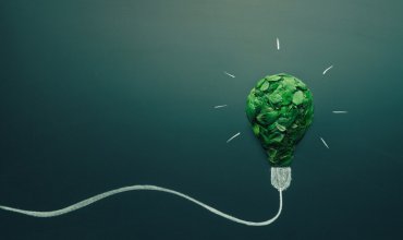 Green sustainability bulb