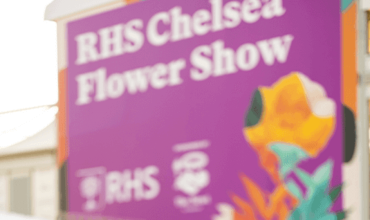 RHS FLOWER SHOW