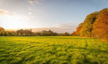 Make Venues introduces sustainability champions