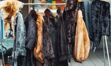 coat