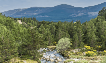 VisitScotland
