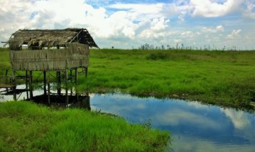 Owl Live partners with Earthly to become climate positive